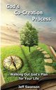 God's Co-Creation Process, Swanson Jeff S