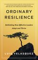 Ordinary Resilience, Velasquez Luis