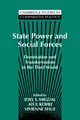 State Power and Social Forces, 
