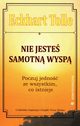 Nie jeste samotn wysp, Tolle Eckhart