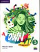 Own It! 3 Project Book, Cupit Simon