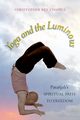 Yoga and the Luminous, Chapple Christopher Key