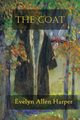 The Coat, Harper Evelyn Allen