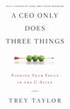A CEO Only Does Three Things, Taylor Trey