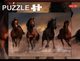Puzzle 56 Wild Horses, 