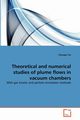 Theoretical and numerical studies of plume flows in vacuum chambers, Cai Chunpei