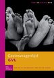 Gezinsvragenlijst (GVL) handleiding, Ploeg J.D.