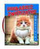 Pogaszcz zwierzatko Przytulki, Kwieciska Mirosawa