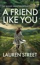 A Friend Like You, Street Lauren
