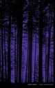 Night Vision, Wahmanholm Claire