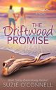 The Driftwood Promise, O'Connell Suzie
