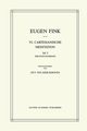VI. Cartesianische Meditation, Fink S.