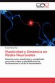 Plasticidad y Dinamica En Redes Neuronales, Rossi Pool Rom N.