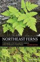 Northeast Ferns, Chadde Steve W
