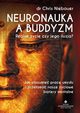 Neuronauka a buddyzm, Niebauer Chris