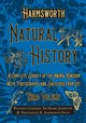 Harmsworth Natural History - A Complete Survey of the Animal Kingdom - With Photographs and Sketches from Life - Third Volume, Lydekker Richard