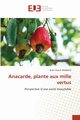 Anacarde, plante aux mille vertus, AKABASSI BOKO PASCAL
