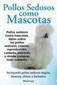 Pollos sedosos como mascotas. Datos sobre los Pollos Sedosos, crianza, reproduccin, cuidado, alimento y donde comprar, todo cubierto. Incluyendo pollos sedosos negros, blancos, chinos y barbados., Lang Elliott