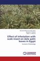 Effect of Infestation with Scale Insect on Date Palm Leaves in Egypt, Bakry Moustafa Mohammed Sabry