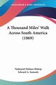 A Thousand Miles' Walk Across South America (1869), Bishop Nathaniel Holmes
