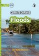 Climate Change, McIver Bulla
