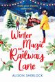 Winter Magic on Railway lane, Sherlock Alison