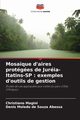Mosa?que d'aires protges de Juria-Itatins-SP, Magini Christiano