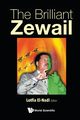 BRILLIANT ZEWAIL, THE, LOTFIA EL-NADI