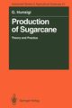 Production of Sugarcane, Hunsigi Gururaj