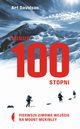 Minus 100 stopni, Davidson Art