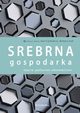 Srebrna gospodarka Ujcie spoeczno-ekonomiczne, 
