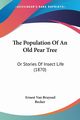 The Population Of An Old Pear Tree, Bruyssel Ernest Van