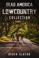 Dead America Lowcountry Collection Part 1 - Books 1 - 6, Slaton Derek