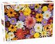 Puzzle Garden Flowers 500, 