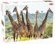 Puzzle yrafy 1000, 