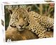 Puzzle Jaguar 500, 