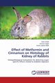 Effect of Metformin and Cinnamon on Histology of Kidney of Rabbits, Khalid Sidra