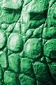 Alive! crocodile skin - Emerald duotone - Photo art notebooks (6 x 9 series), Jansson Eva-Lotta