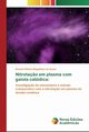 Nitreta?o em plasma com gaiola catdica, Sousa Romulo Ribeiro Magalh?es de