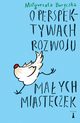 O perspektywach rozwoju maych misteczek, Boryczka Magorzata