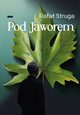 Pod Jaworem, Struga Rafa