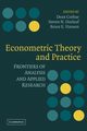 Econometric Theory and Practice, 