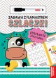 Zabawa z flamastrem. Szlaczki, Salamon Katarzyna