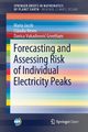 Forecasting and Assessing Risk of Individual Electricity Peaks, Jacob Maria