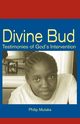 Divine Bud, Mutaka Philippe
