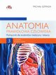 Anatomia prawidowa czowieka Tom 3, Szpinda Micha