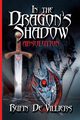 In The Dragon's Shadow, De Villiers Rufin