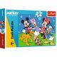 Puzzle Mysie sprawy 30, 