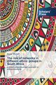 The role of networks in different ethnic groups in South Africa, Mitchell Bruce