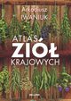 Atlas zi krajowych, Iwaniuk Arkadiusz